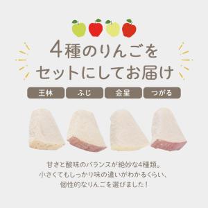 りんご フリーズドライ 青森県産 20個入(4...の詳細画像3