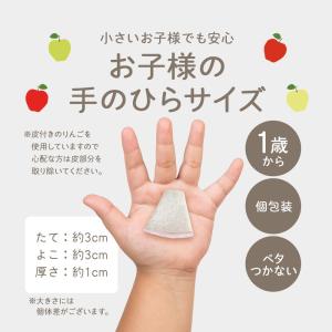 りんご フリーズドライ 青森県産 20個入(4...の詳細画像5