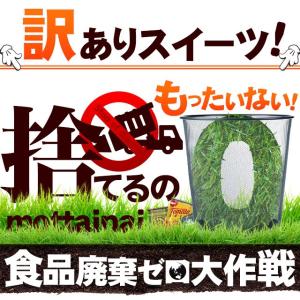 ★終了★　何が届くか分からない！訳あり商品！