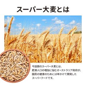 パックご飯 玄米 スーパー大麦 紫もち麦 16...の詳細画像3