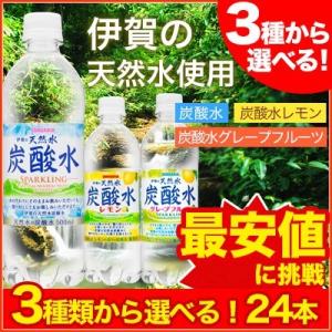 伊賀の天然水 炭酸水・レモン・グレープフルーツ500mlペッ...