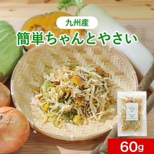 乾燥野菜 60g 九州産 国産 簡単ちゃんとやさい　訳あり食品