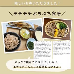 パックご飯 玄米 もち麦 黒米 レトルト 16...の詳細画像2