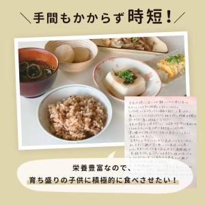 パックご飯 玄米 もち麦 黒米 レトルト 16...の詳細画像3