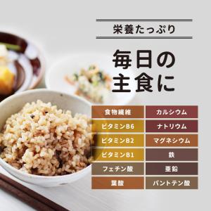 パックご飯 玄米 もち麦 黒米 レトルト 16...の詳細画像4