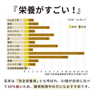 パックご飯 玄米 もち麦 黒米 レトルト 16...の詳細画像5