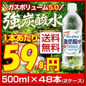 伊賀の天然水で作った 強炭酸水 500ml×48本 炭酸水 ...