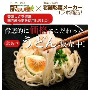 乾麺うどん 大容量 9kg(450g×20袋)...の詳細画像1