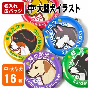 缶バッジ 大型犬イラスト 32mm ゴールデンレトリバー ラブラドール ボーダーコリー グッズ 雑貨 バッチ