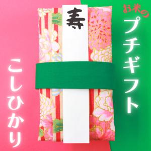 G.C.PRESS ふみ揃えカラー封筒 ピュアレッド 082-52｜文房具 カラー