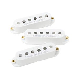 Hammond LESLIE レスリー 11PINレスリーケーブル(7m) LC11-7M : ズー