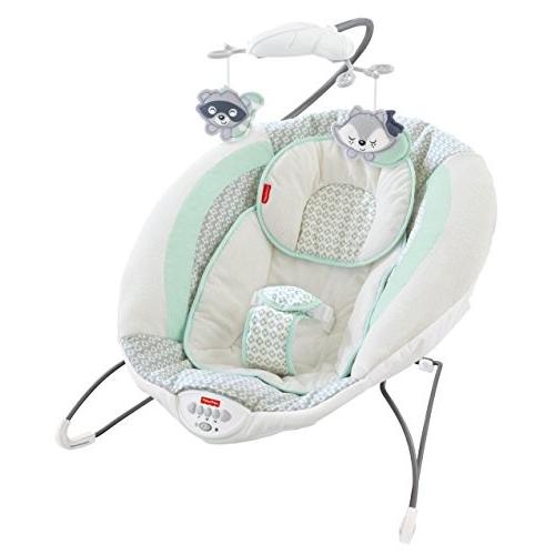 Fisher-Price Moonlight Meadow Deluxe Bouncer