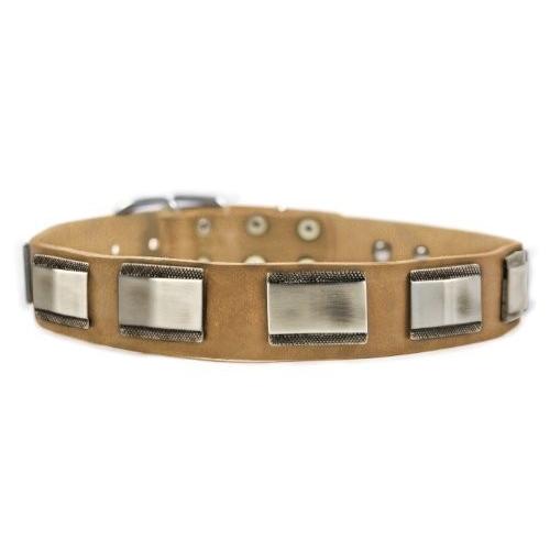 Dean and Tyler &quot;WHITE LIGHT&quot; Leather Dog Collar wi...