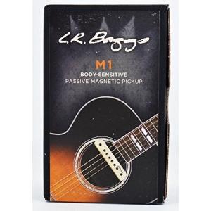 LR Baggs M1 PASSIVEの詳細画像1