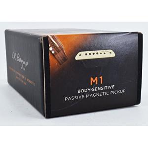 LR Baggs M1 PASSIVEの詳細画像2