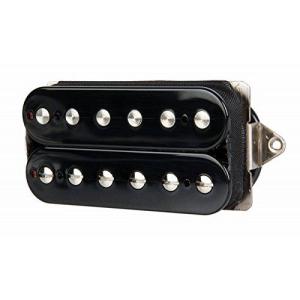 Steinberger (スタインバーガー) XL/XT Bass ハードケース : ワールド