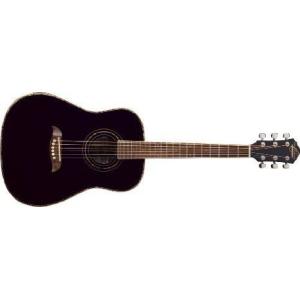 Washburn ワッシュバーン Rover Travel Guitar ギター