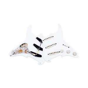 Joe Barden ジョーバーデン ピックアップ Danny Gatton T-Style Neck