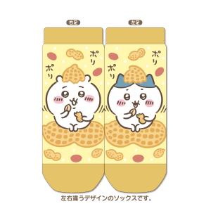千葉限定　ちいかわキャラットソックス　（落花生）