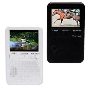 WINTECH 2.8インチ液晶ポータブルワンセグテレビ（レトロ型） TVR-RT1