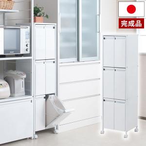 日本製 ダストボックス スチール製 分別ゴミ箱 9リットル 2分別 幅20cm