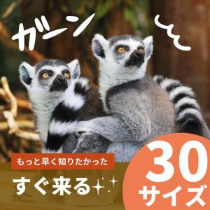 ＼得!P5倍/即納 幅150cm 花粉 ミラー...の詳細画像3