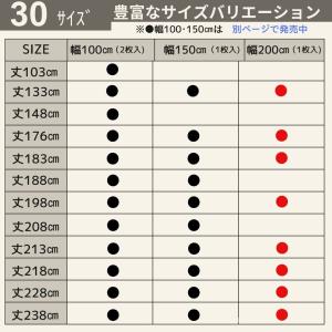 ＼ポイント5倍/即納 幅200cm 花粉 ミラ...の詳細画像4