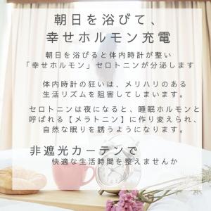 即納 幅100cm 150cm 200cm 遮...の詳細画像2