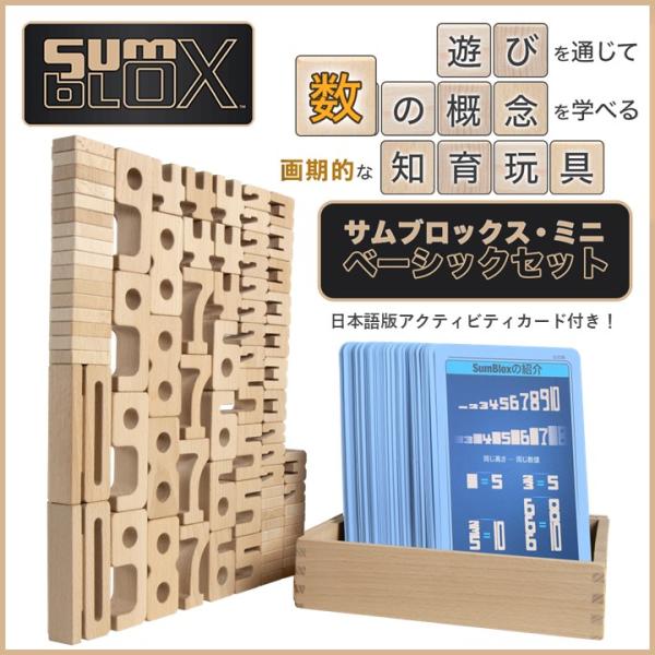 日本語版カード付き サムブロックス SumBlox 遊びながら数字が学べる積み木 知育玩具 (サムブ...