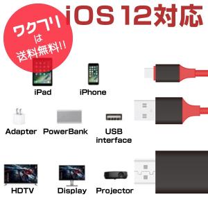 HDMI 変換アダプタ iPhone テレビ接...の詳細画像4