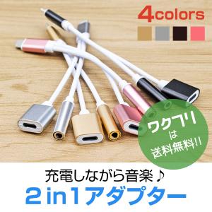iPhone アイフォン 5/6/7/X/XS/XR plus iPad/mini変換 ケーブル