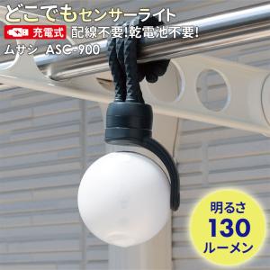 人感センサー 屋外 ムサシ RITEX 充電式どこでもセンサーライト LED 玄関 ガレージ 照明 防犯ライト アウトドア キャンプ ランタン