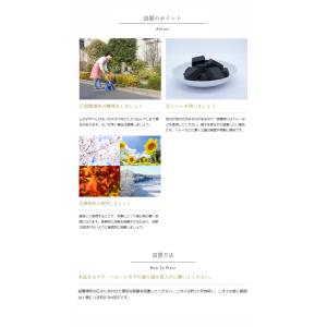 モグラ・ヘビ・ムカデZ 固形300g シマダ ...の詳細画像3