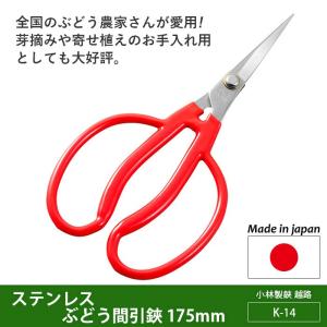剪定ばさみ ガーデニング ステンレスぶどう間引鋏...の商品画像