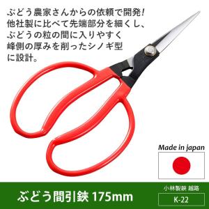 剪定ばさみ ガーデニング ステンレスぶどう間引鋏 175mm（K-14） 越路