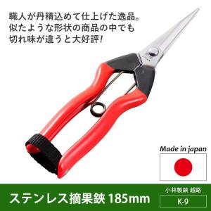 剪定ばさみ ガーデニング 摘芯鋏 165mm（S-18） 越路 園芸鋏 ハサミ