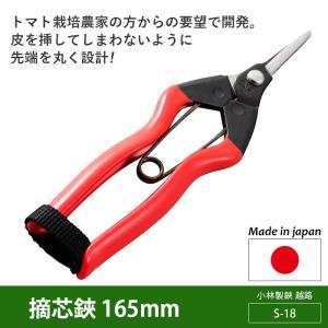 剪定バサミ 剪定ハサミ 剪定鋏 剪定はさみ 高枝切りバサミ ガーデニング 剪定ばさみ ガーデニング 柿芯切鋏 155mm（S-16） 越路 園芸鋏 ハサミ