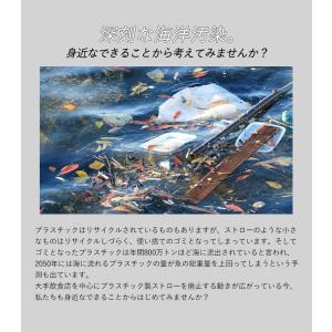 純銅Myストロー タピオカ・花瓶サイズ 除菌 ...の詳細画像1
