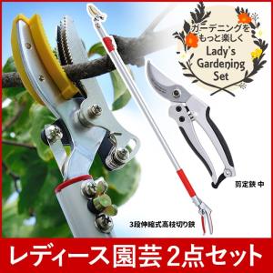 草刈払機 バリカン 高枝鋏 3点セット ガーデニング用品 レディース園芸2点セット 3段伸縮式 高枝切りバサミ