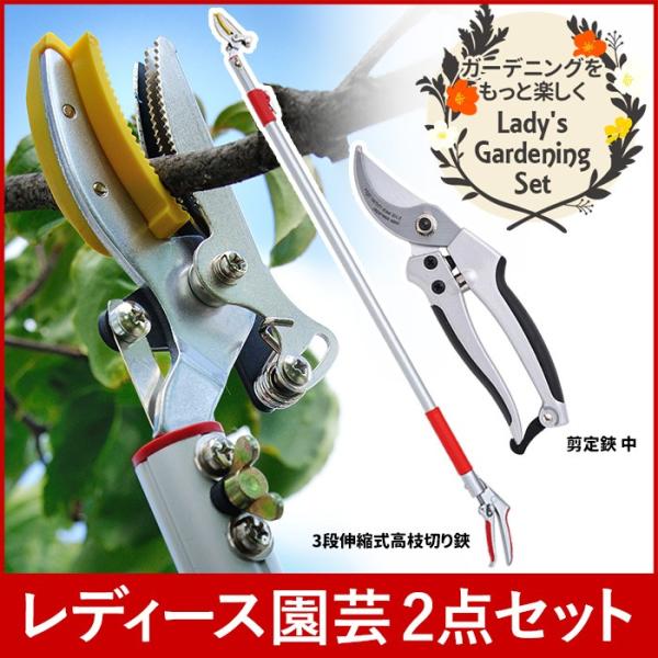 ガーデニング用品 レディース園芸2点セット 3段伸縮式 高枝切りバサミ 高枝切鋏 剪定ばさみ 剪定ば...