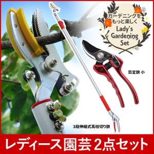 ガーデニング用品 レディース園芸2点セット 3段伸縮式 高枝切りバサミ
