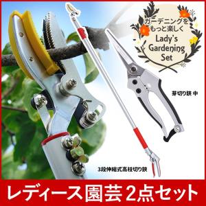 ガーデニング用品 レディース園芸2点セット 3段伸縮式 高枝切りバサミ