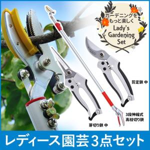 ガーデニング用品 レディース園芸2点セット 3段伸縮式 高枝切りバサミ