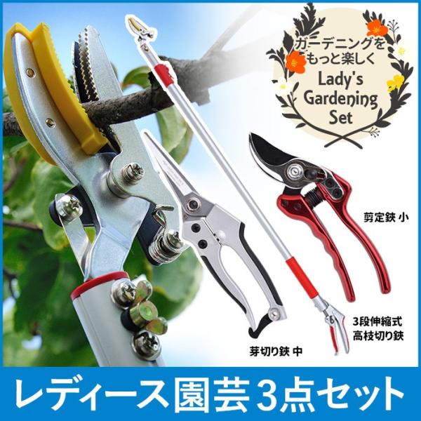 ガーデニング用品 レディース園芸3点セット 3段伸縮式 高枝切りバサミ 高枝切鋏 芽切鋏 芽きり鋏 ...