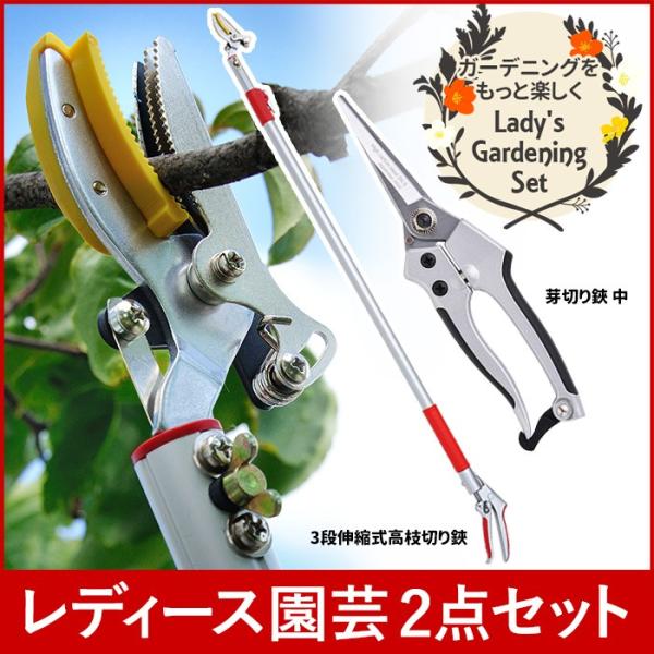 ガーデニング用品 レディース園芸2点セット 3段伸縮式 高枝切りバサミ 高枝切鋏 芽切鋏 芽きり鋏 ...