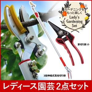 ☘️ 剪定バサミ 剪定ハサミ 剪定鋏 剪定はさみ 高枝切り ガーデニング 園芸用品 ガーデニング用品 レディース園芸2点セット 3段伸縮式 高枝切りバサミ