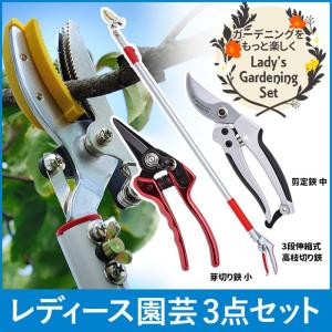 剪定バサミ 剪定ハサミ 剪定鋏 剪定はさみ 高枝切りバサミ ガーデニング ガーデニング用品 レディース園芸2点セット 3段伸縮式 高枝切りバサミ