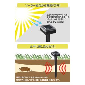 ソーラー式モグラ撃退器 2本入り もぐら 防獣...の詳細画像1