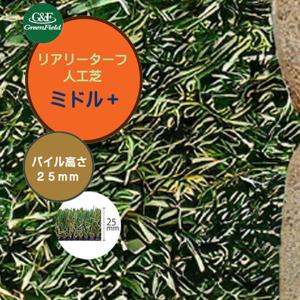 人工芝 リアリーターフ ミドルプラス １Ｍ×１０Ｍ パイル長２５mm 人工芝 芝生 人工芝生 ロール 遮熱 静電気抑制 抗菌 防炎 防カビ 消臭 Ｃ型パイル 送料無料