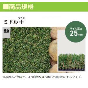 人工芝 リアリーターフ ミドルプラス 1M×1...の詳細画像1
